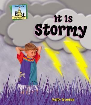 Library Binding It Is Stormy Book
