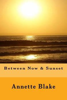Paperback Between Now & Sunset Book