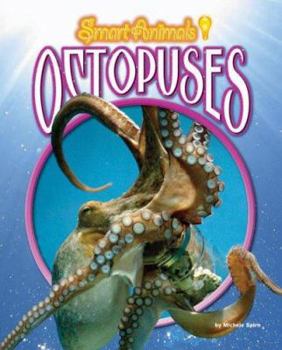 Octopuses - Book  of the Smart Animals