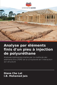 Analyse par éléments finis d'un pieu à injection de polyuréthane (French Edition)