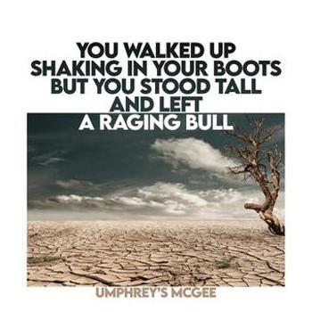 Vinyl You Walked Up Shaking In Your Boots But Book