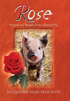 Hardcover Rose - Postcards and Thoughts from a Beautiful Pig Book