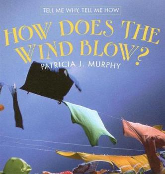 Library Binding How Does the Wind Blow? Book