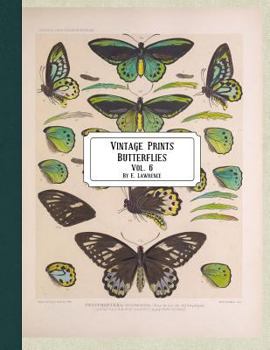 Paperback Vintage Prints: Butterflies: Vol. 3 Book