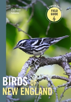 Paperback Birds of New England: A Timber Press Field Guide Book