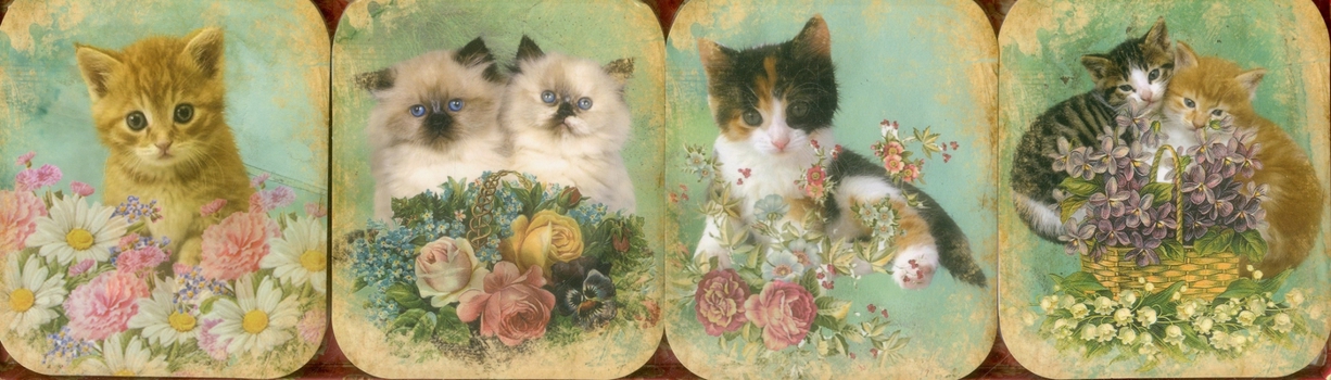 Misc. Supplies Pocket Note Set of 4 Mini-Pads: Vintage Kittens: A Fabulous Collection of 4 Mini-Pads Book