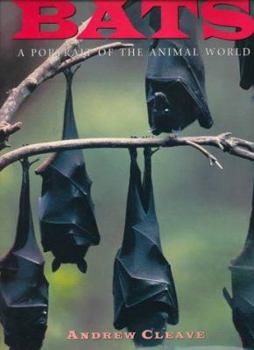 Hardcover Bats: A Portrait of the Animal World Book