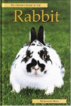 Hardcover Rabbit Book