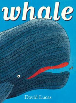 Hardcover Whale Book