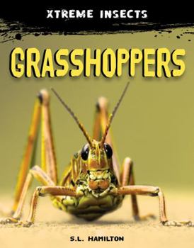 Grasshoppers - Book  of the Xtreme Insects