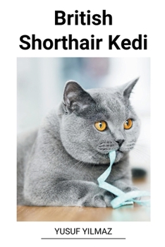 Paperback British Shorthair Kedi [Turkish] Book