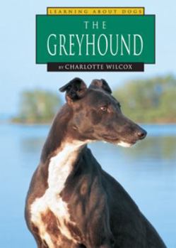Greyhounds - Book  of the Learning About Dogs