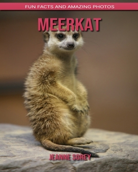 Paperback Meerkat: Fun Facts and Amazing Photos Book