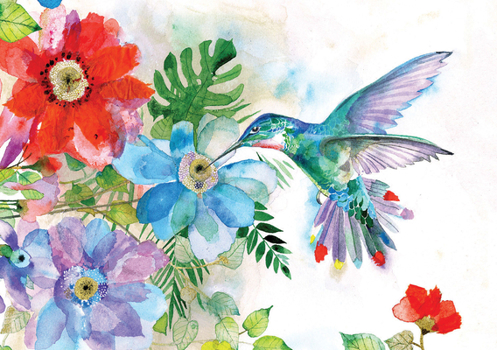 Gift Hummingbird Garden Note Cards (14 Cards, 15 Self-Sealing Envelopes) Book