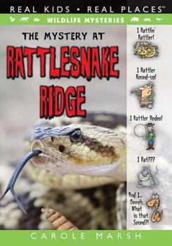 Paperback The Mystery at Rattlesnake Ridge Book