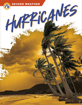 Library Binding Hurricanes Book