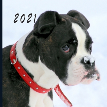 2021: Monthly Photo Calendar | January 2021 - December 2021 | Monthly Calendar with U.S./UK/ Canadian/Christian/Jewish/Muslim Holidays | Boxer Dog Photo Calendar
