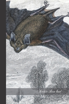 Paperback Horse shoe Bat: small lined Bat Notebook / Travel Journal to write in (6'' x 9'') 120 pages Book