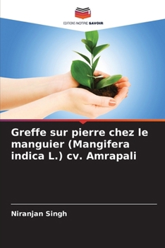 Paperback Greffe sur pierre chez le manguier (Mangifera indica L.) cv. Amrapali [French] Book