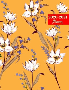 2020-2021 Planner: Simple Daily, Weekly & Monthly Organizer & Diary - 2 Year Appointment Calendar, Business Planners, Agenda Schedule Logbook and Journal
