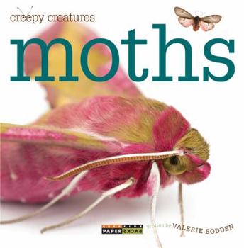 Paperback Creepy Creatures: Moths Book