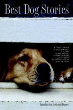 Hardcover Best Dog Stories Book