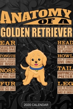Anatomy Of A Golden Retriever: Golden Retriever 2020 Calendar - Customized Gift For Golden Retriever Dog Owner