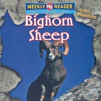Bighorn Sheep - Book  of the Animals That Live in the Mountains