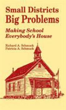 Hardcover Small Districts, Big Problems: Making School Everybody&#8242;s House Book