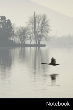 Notebook: Swan Themed Notebook / Journal / Diary / Composition book / Daily Planner / Sketchbook - 6 x 9 inches (15,24 x 22,86 cm), 150 pages, glossy finish.