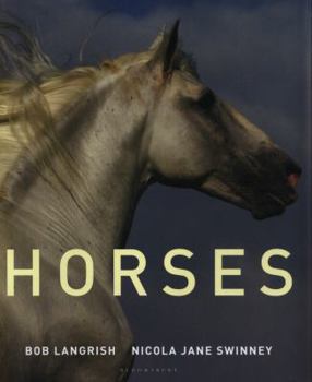 Hardcover Horses Book