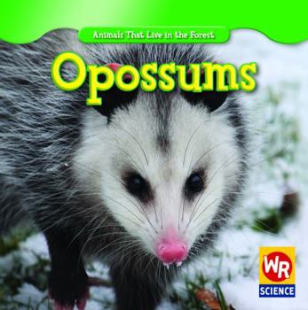 Opossums - Book  of the Animals That Live in the Forest