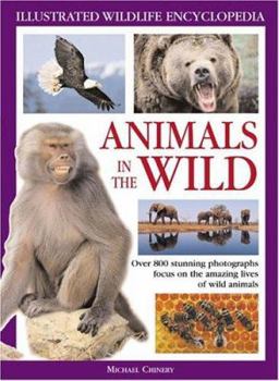 Paperback Illustrated Nature Encyclopedia: Animals in the Wild Book