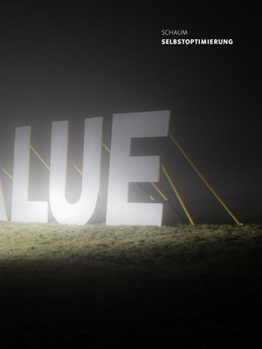 Hardcover Schaum: Self-Optimisation Book