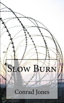 Paperback Slow Burn Book