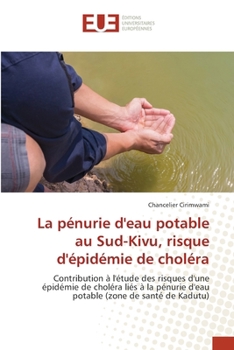 La pénurie d'eau potable au Sud-Kivu, risque d'épidémie de choléra (French Edition)
