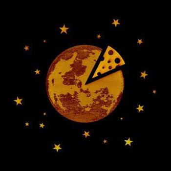 Vinyl In Case I Make It Book