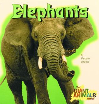 Hardcover Elephants Book