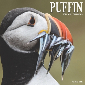 Puffin: 2021 Calendar (Fantastic Birds)