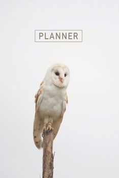 Planner: Owl 1 Year Daily Planner (12 Months) | 2020 - 2021 | 365 Pages for Planning | January 20 - December 20 | Appointment Calendar Schedule | Plan Each Day Set Goals & Get Stuff Done