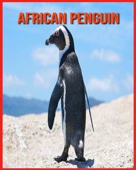 African Penguin: Amazing Facts & Pictures
