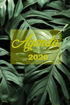 Paperback Agenda 2020: format de poche A5, semainier et calendrier - motif feuilles [French] Book