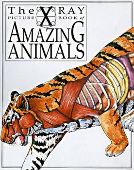 Paperback The X-Ray Picture Book of Amazing Animals Book