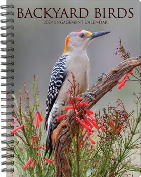 Calendar Backyard Birds 2024 6.5 X 8.5 Engagement Calendar Book