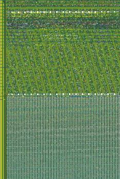 Paperback Practical Prophetic Prayer Praise: Restoration Power Book