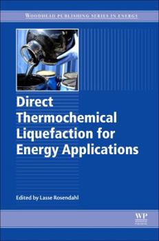Hardcover Direct Thermochemical Liquefaction for Energy Applications Book