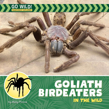 Goliath Birdeaters in the Wild (21st Century Beginning Library: Go Wild! Rainforest Explorer)