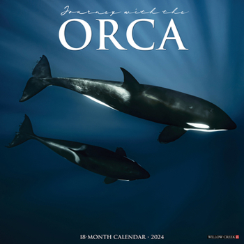 Calendar Orca (Journey with The) 2024 12 X 12 Wall Calendar Book