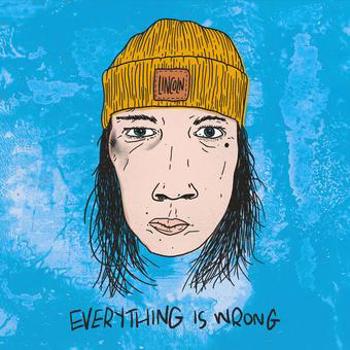 Vinyl Everything Is Wrong Book