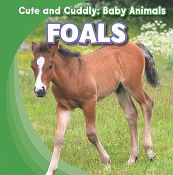 Library Binding Foals Book